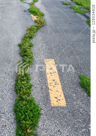 grass growing through cracked asphalt road grass growing through cracked asphalt road 129334918