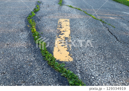 grass growing through cracked asphalt road grass growing through cracked asphalt road 129334919