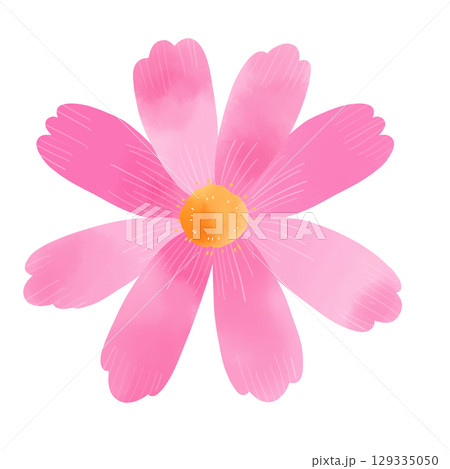 ピンク色の水彩風　コスモスのイラスト 129335050