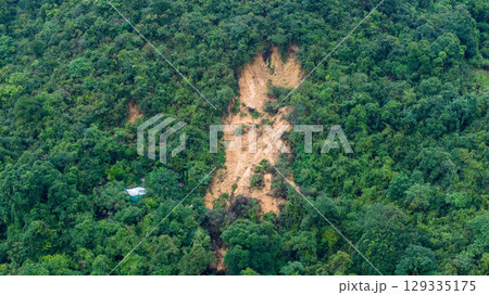 Lush Green Forest with Exposed Soil From Erosion Viewed from Above Lush Green Forest with Exposed Soil From Erosion Viewed from Above 129335175