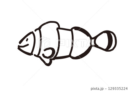 カクレクマノミ 129335224