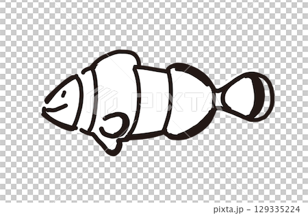 小丑anemonefish 小丑anemonefish 129335224