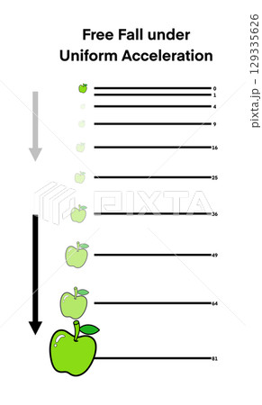 illustration of physics, Earth's gravity, free fall of an apple under constant acceleration, Each position illustrates increasing distance over equal time intervals, visualizing the equation 129335626
