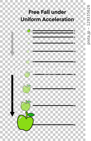 illustration of physics, Earth's gravity, free fall of an apple under constant acceleration, Each position illustrates increasing distance over equal time intervals, visualizing the equation 129335626