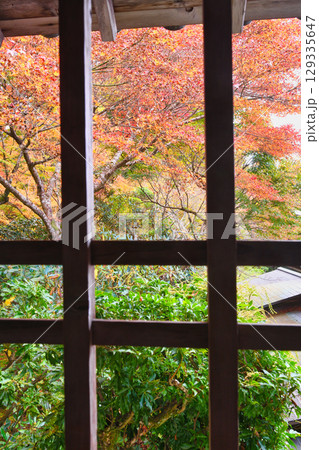 大原 三千院 美しい紅葉(京都府京都市左京区) 大原 三千院 美しい紅葉(京都府京都市左京区) 129335647
