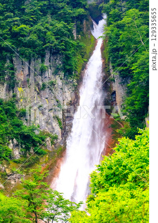 【北海道_上川郡_層雲峡】夏の銀河･流星の滝 7月 129335655