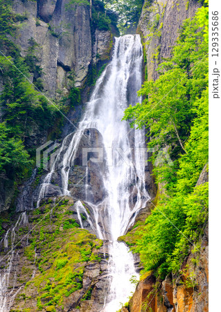 【北海道_上川郡_層雲峡】夏の銀河･流星の滝 7月 129335686