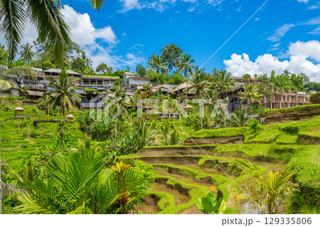 バリ島　トゥガララン棚田の風景 129335806