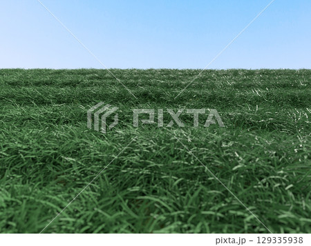 青い空と草原の風景 129335938