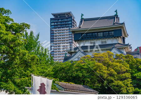 【福岡県北九州市】晴天下の小倉城 129336065