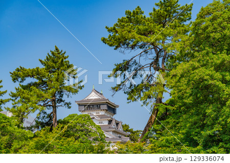【福岡県北九州市】晴天下の小倉城 【福岡県北九州市】晴天下の小倉城 129336074