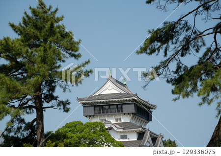 【福岡県北九州市】晴天下の小倉城 【福岡県北九州市】晴天下の小倉城 129336075