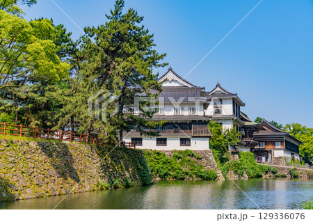 【福岡県北九州市】晴天下の小倉城 129336076