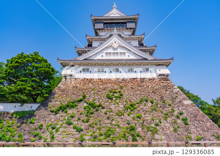 【福岡県北九州市】晴天下の小倉城 129336085