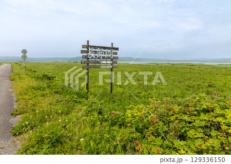 長節湖　(北海道　7月) 129336150