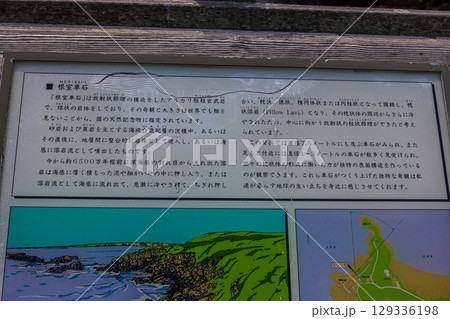 【北海道_根室市_花咲港】根室十景 ハマナス咲く花咲灯台と根室車石 7月 【北海道_根室市_花咲港】根室十景 ハマナス咲く花咲灯台と根室車石 7月 129336198
