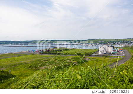 【北海道_根室市_花咲港】根室十景 ハマナス咲く花咲灯台と根室車石 7月 129336225