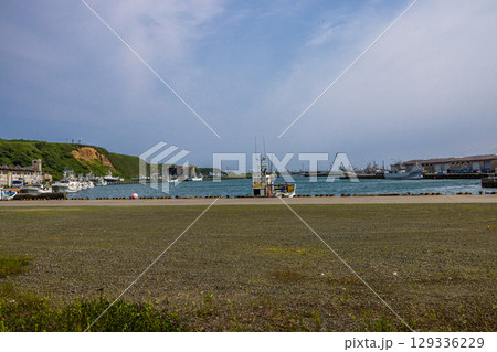 【北海道_根室市_花咲港】根室十景 ハマナス咲く花咲灯台と根室車石 7月 【北海道_根室市_花咲港】根室十景 ハマナス咲く花咲灯台と根室車石 7月 129336229