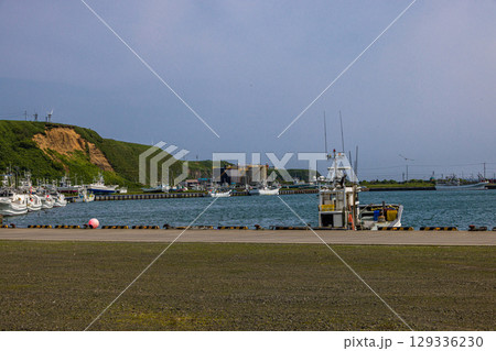 【北海道_根室市_花咲港】根室十景 ハマナス咲く花咲灯台と根室車石 7月 129336230