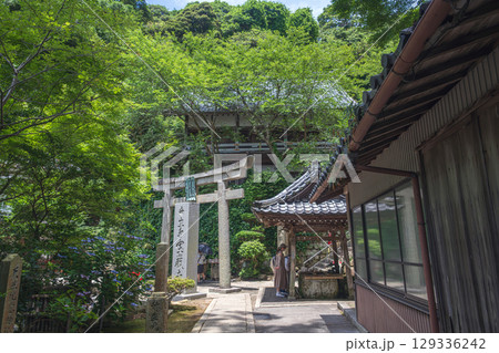 竹生島 祈りの聖地の夏景色 129336242