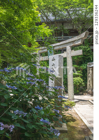 竹生島 祈りの聖地の夏景色 竹生島 祈りの聖地の夏景色 129336244