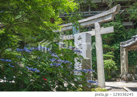 竹生島 祈りの聖地の夏景色 竹生島 祈りの聖地の夏景色 129336245