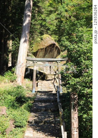 岩屋岩蔭遺跡 129336264