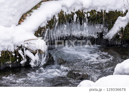 凍った清流（大山木谷沢渓流） 129336678