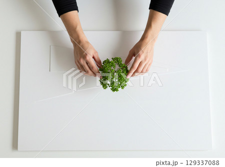 Hands Planting Green Tree on White Architectural Model 129337088