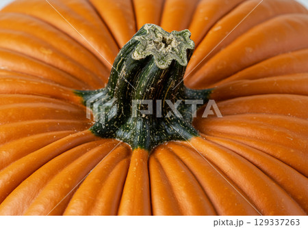 Closeup of a Pumpkins Top, Stem and Texture 129337263