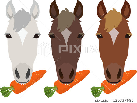 馬と人参のセット 129337680