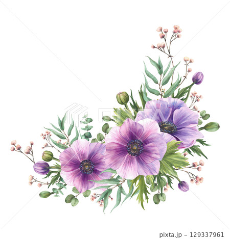 Watercolor purple Anemones flowers with gypsophila pink buds and eucalyptus branches leaves. Realistic floral corner clipart for wedding, greeting card Hand drawn isolated from background illustration Watercolor purple Anemones flowers with gypsophila pink buds and eucalyptus branches leaves. Realistic floral corner clipart for wedding, greeting card Hand drawn isolated from background illustration 129337961