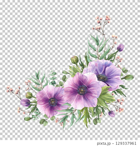 Watercolor purple Anemones flowers with gypsophila pink buds and eucalyptus branches leaves. Realistic floral corner clipart for wedding, greeting card Hand drawn isolated from background illustration Watercolor purple Anemones flowers with gypsophila pink buds and eucalyptus branches leaves. Realistic floral corner clipart for wedding, greeting card Hand drawn isolated from background illustration 129337961