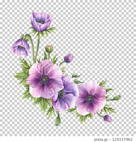Watercolor Anemone flowers bouquet. Purple realistic buds and green leaves. Bunch of flower for wedding, greeting card. Hand drawn semicircular arrangement illustration on isolated white background Watercolor Anemone flowers bouquet. Purple realistic buds and green leaves. Bunch of flower for wedding, greeting card. Hand drawn semicircular arrangement illustration on isolated white background 129337962