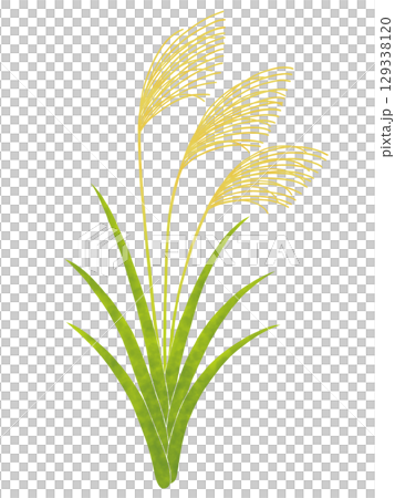 Simple suki 129338120