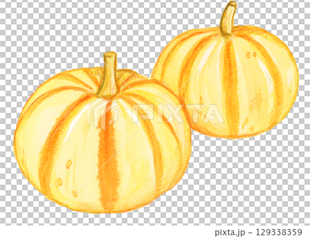 手描き水彩のミニかぼちゃのイラスト 手描き水彩のミニかぼちゃのイラスト 129338359