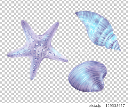Starfish shell and conch. Watercolor and marker illustration. Hand drawn isolated art. Wild underwater life. Snails for menu design, children's room, tourism, guidebook. Exotic ocean fauna. 129338457