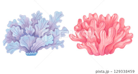 Peach, purple coral. Watercolor style marker illustration. Ocean coral reefs. Clipart underwater animals of the seabed. Hand drawn isolated image. Exotic marine ecosystem for packaging, travel guides. Peach, purple coral. Watercolor style marker illustration. Ocean coral reefs. Clipart underwater animals of the seabed. Hand drawn isolated image. Exotic marine ecosystem for packaging, travel guides. 129338459