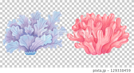 Peach, purple coral. Watercolor style marker illustration. Ocean coral reefs. Clipart underwater animals of the seabed. Hand drawn isolated image. Exotic marine ecosystem for packaging, travel guides. 129338459
