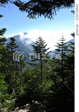 仙丈ヶ岳登山、山梨県 仙丈ヶ岳登山、山梨県 129338682