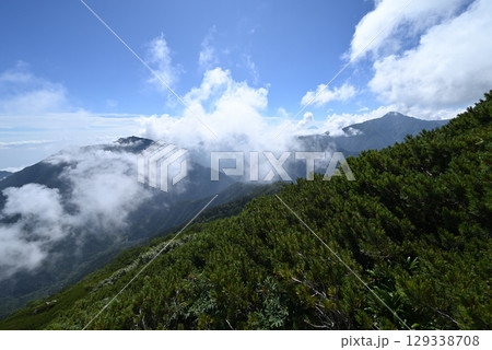 仙丈ヶ岳登山、山梨県 129338708