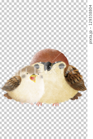 すずめ親子 129338804