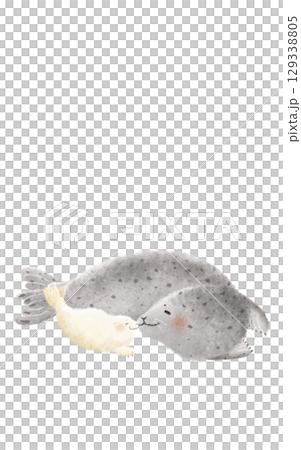 アザラシ親子 129338805