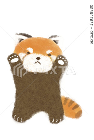 威嚇してるのにかわいいレッサーパンダさん 129338880
