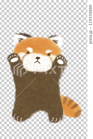 威嚇してるのにかわいいレッサーパンダさん 129338880