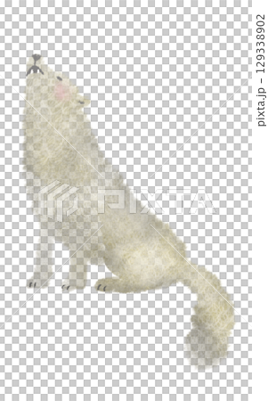 一隻看起來很快樂的狼 一隻看起來很快樂的狼 129338902