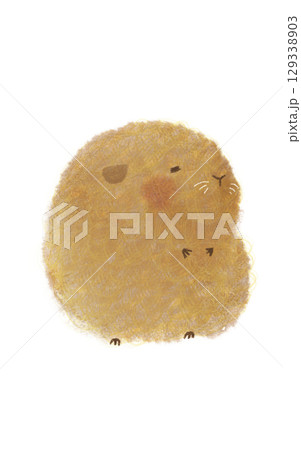 幸せそうなモルモットさん 幸せそうなモルモットさん 129338903