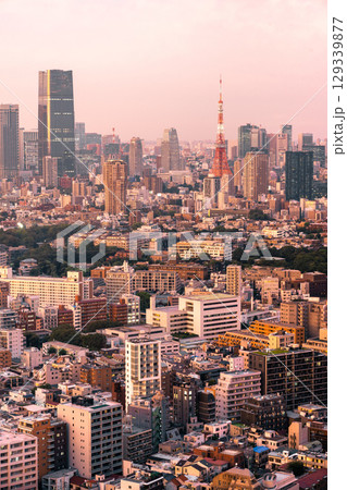 Tokyo Skyline with Tokyo Tower at Blue Hour, Japan 129339877