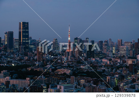 Tokyo Skyline with Tokyo Tower at Blue Hour, Japan 129339878