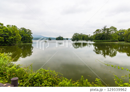 【北海道_函館市_大沼公園】睡蓮やネムロコウホネの出迎の大沼国定公園 129339962